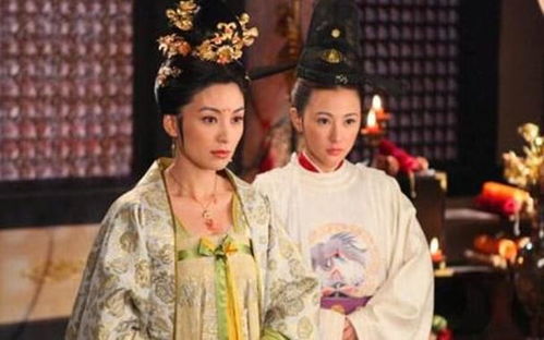 皇上宠幸妃子怀孕游戏,皇上的怀孕秘史