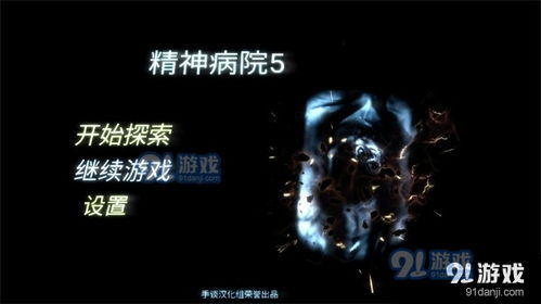 神经病医院游戏5,揭秘疯狂世界背后的心理迷宫