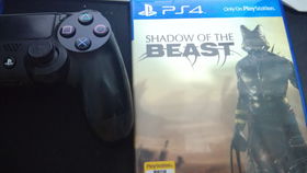 ps4独占游戏什么意思,尽在掌握