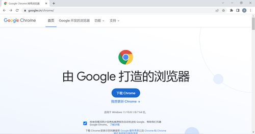 谷歌浏览器安卓下载2024版 