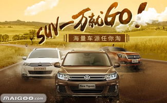 易车网二手车官网版 