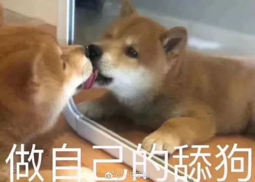 恶魔的图案探索挑战 