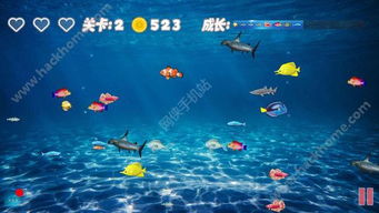 大鱼吃小鱼3D版官方版下载 