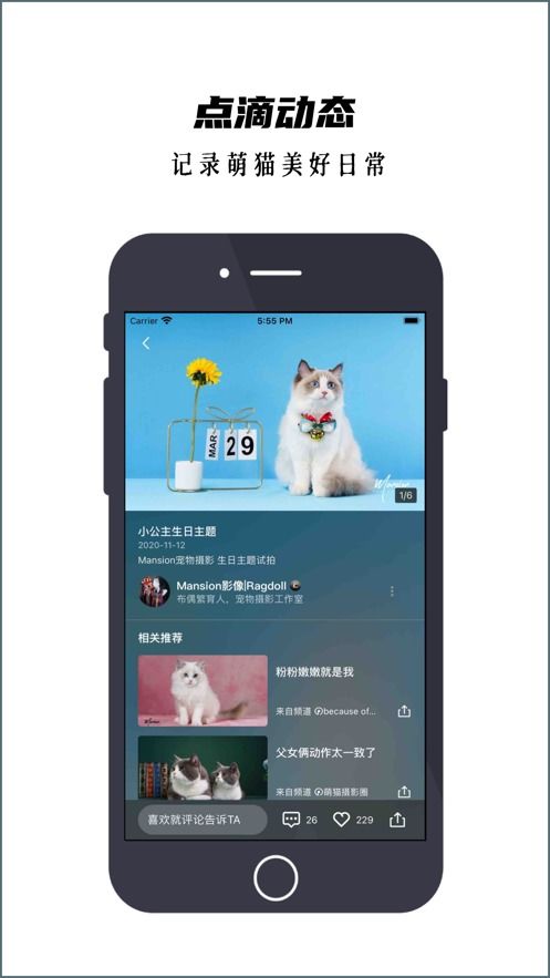 追影猫软件下载 