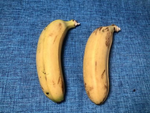 合成大香蕉2 