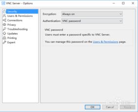 VNCViewer 
