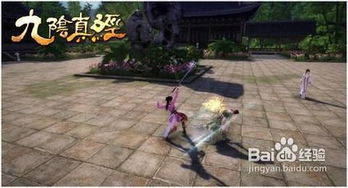 九阴真经3d官网版 