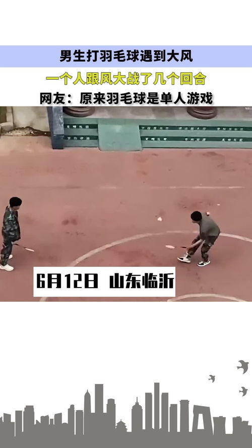 打羽毛球游戏单人,独享羽毛球运动的激情与魅力