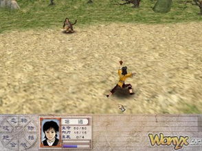 怀旧神雕侠侣单机游戏,再战桃花岛巅