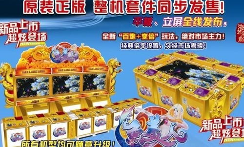 鱼美人游戏机,畅游海底世界的奇幻冒险之旅